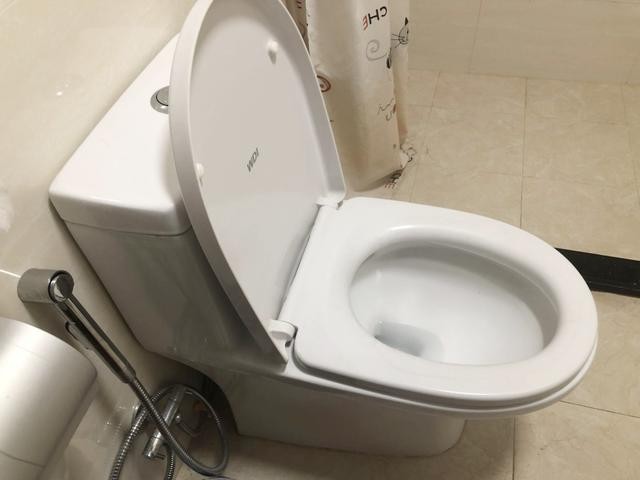 马桶冲水用的什么原理呢_马桶冲水原理示意图